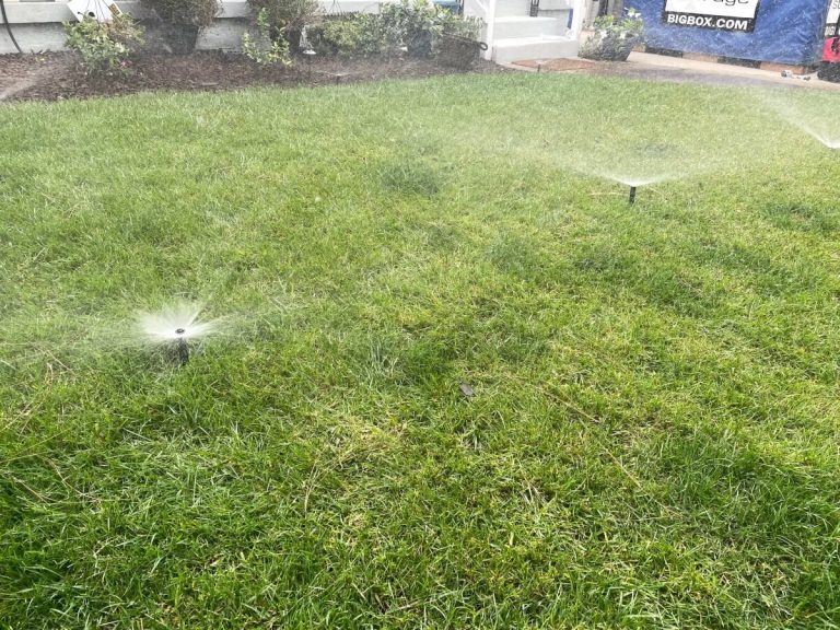 Sprinklers spraying water on lawn after being fixed.